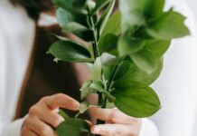 Creativity Unleashed: Imaginative Stories of Artistic Expression florist composing bouquet of flowers with green stem and leaves