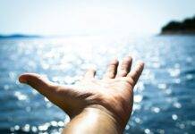 A Ray of Hope: How One Teacher Changed a Student’s Life Forever person hand reaching body of water